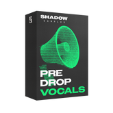 Pre Drop Vocals